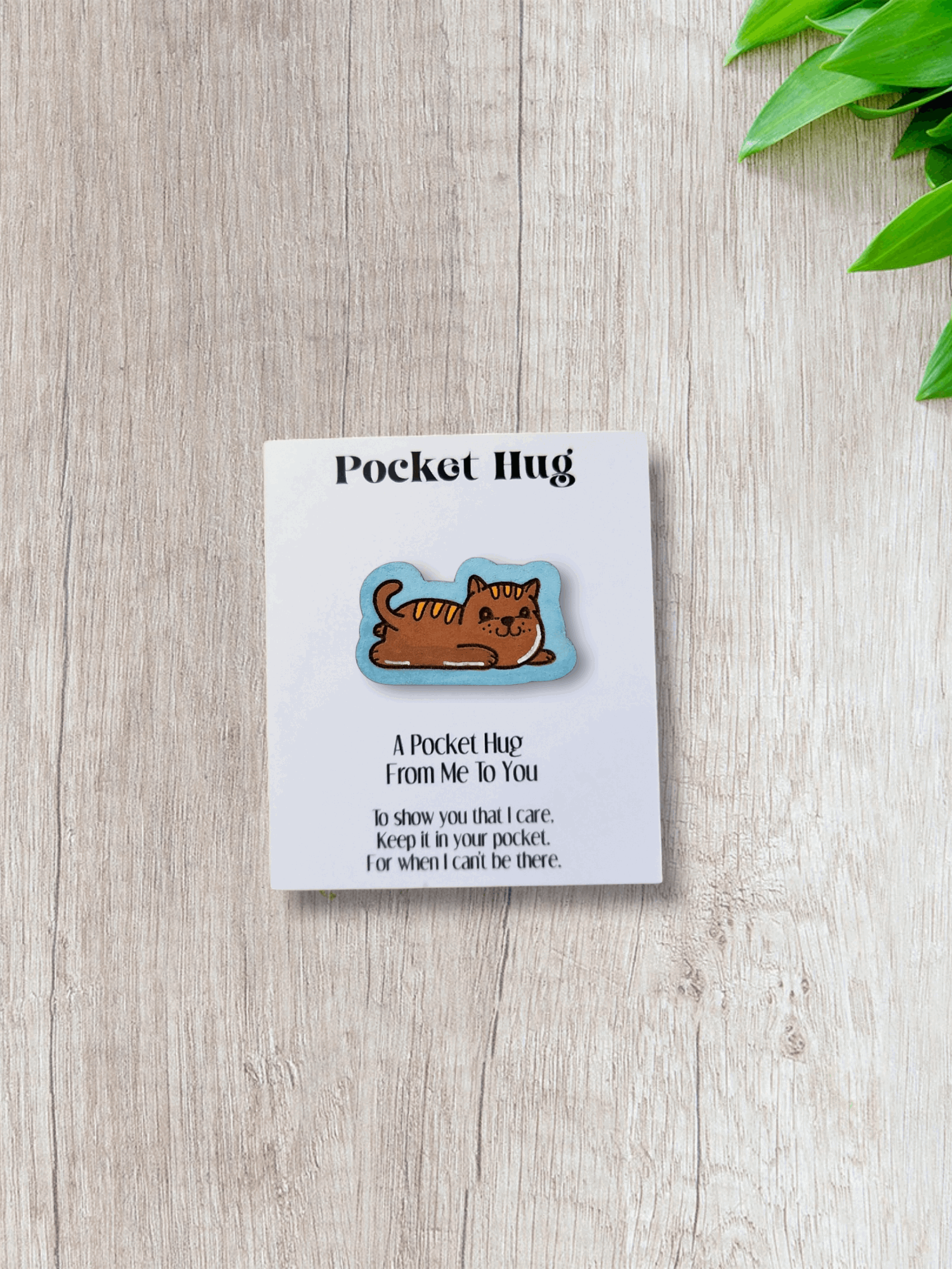 Cat Pocket Hugs (Customizable)