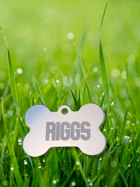 Custom Engraved Aluminum Bone Shaped Pet Tags