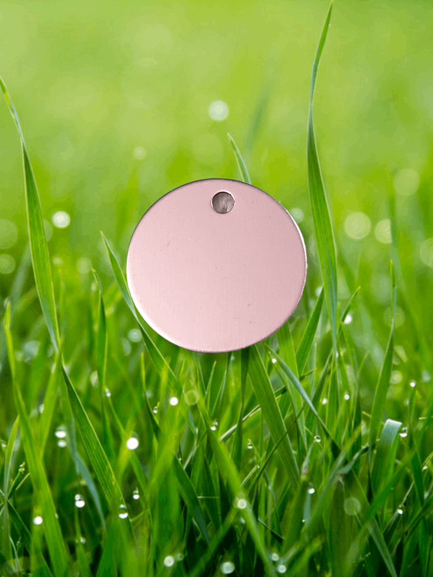 Aluminum Round Pet Tag (Customizable)