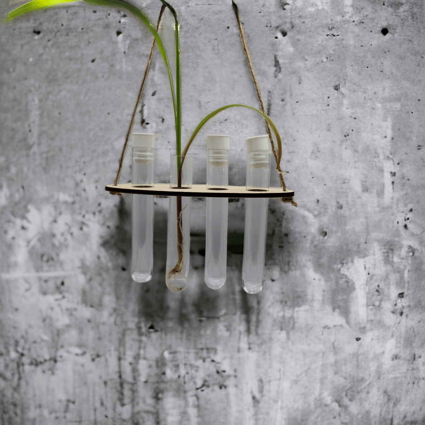 Display and Nurture Your Plant Babies with Our Wooden 4-Hole Hanging Propagation Station