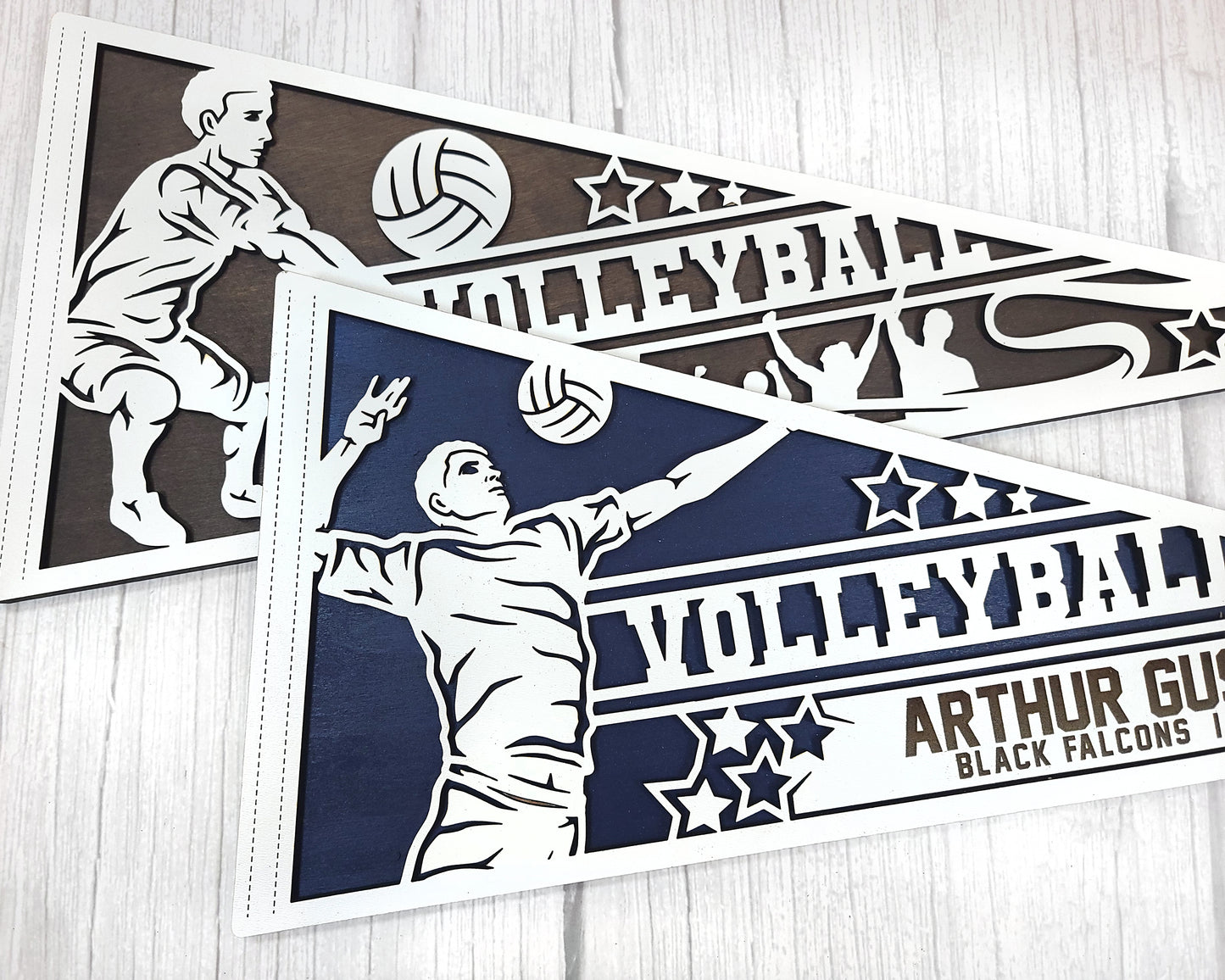 Stadium Series Sports Pennants-Volleyball (Customizable)