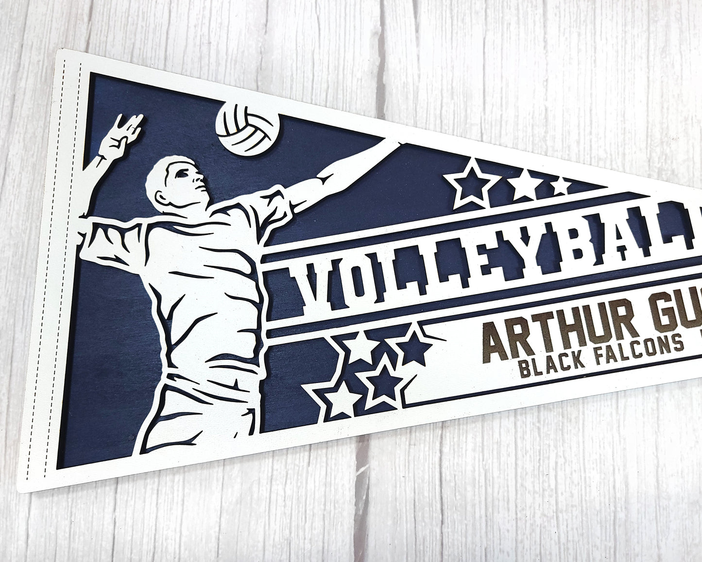 Stadium Series Sports Pennants-Volleyball (Customizable)