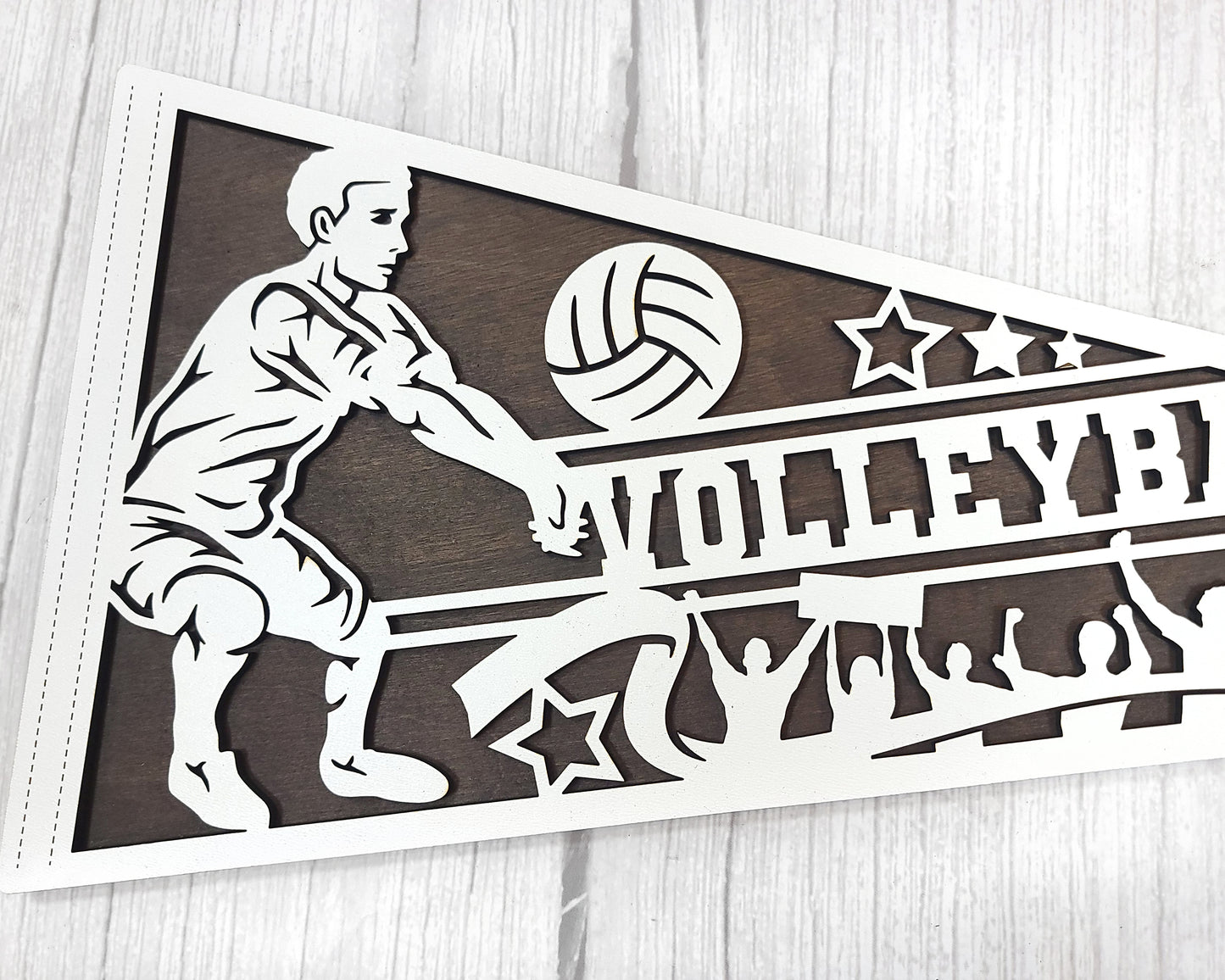 Stadium Series Sports Pennants-Volleyball (Customizable)