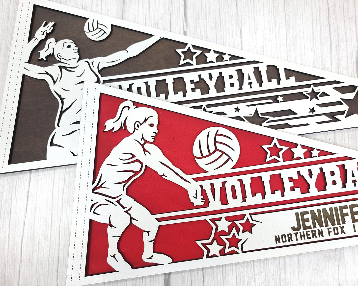 Stadium Series Sports Pennants-Volleyball (Customizable)