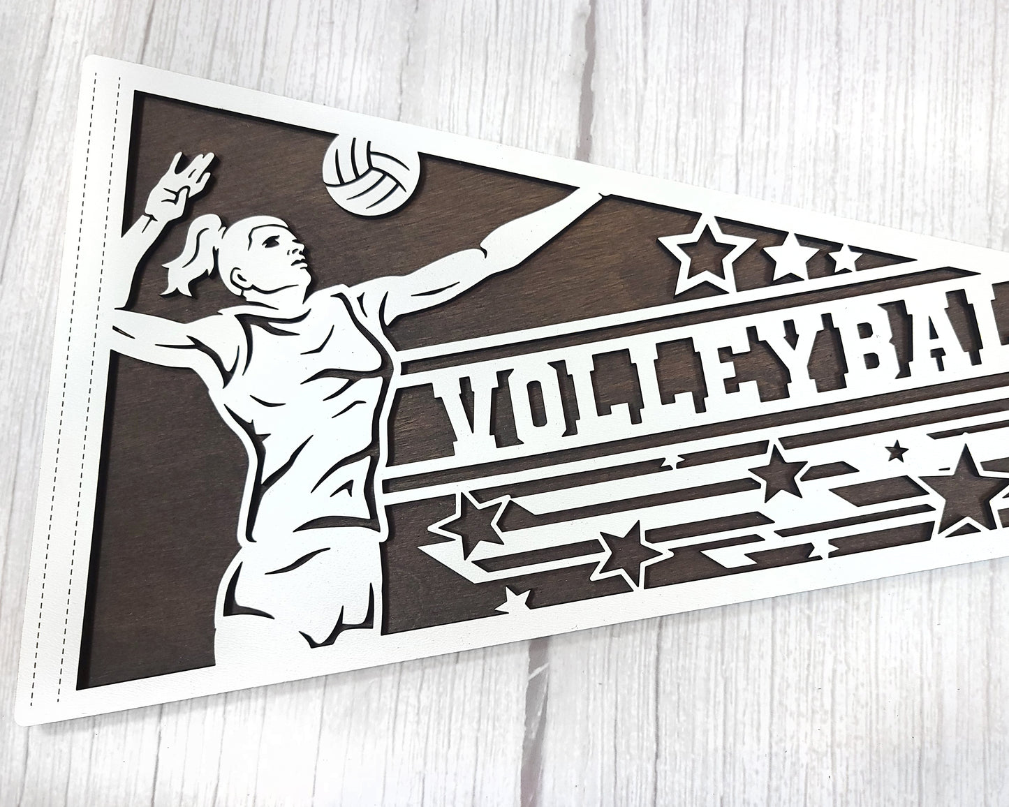 Stadium Series Sports Pennants-Volleyball (Customizable)