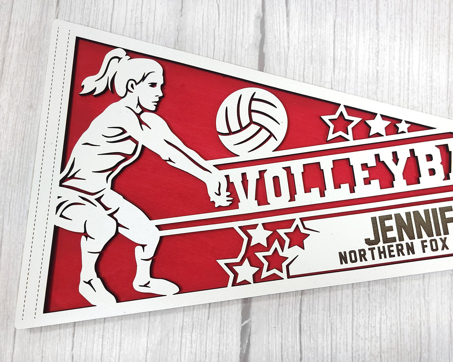 Stadium Series Sports Pennants-Volleyball (Customizable)